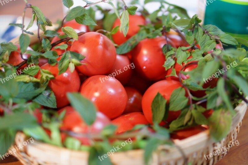 Tomato Food Vegetables Eat Health