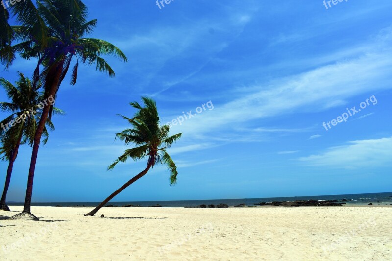 Huahin Beach Beach Thailand Beach Blue Sea Palm Tree