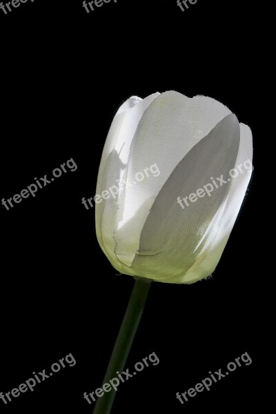 Tulip Art Flower White Decoration Artificial Flowers