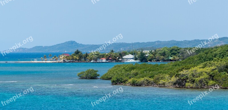 Honduras Roatan Nature Caribbean Tourism