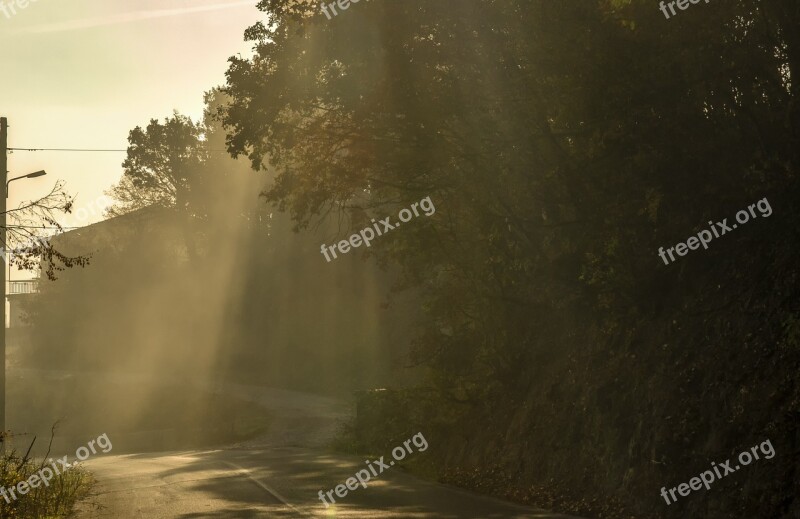 Sunrays Nature Trees Sky Landscape