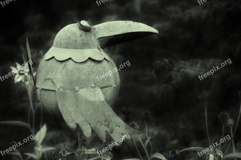 Metal Bird In The Gloom Free Photos