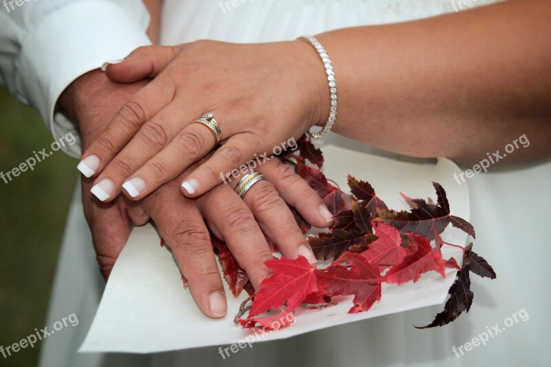 Wedding Hands Rings Couple Romantic