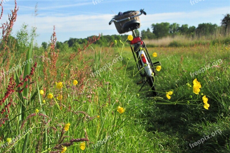 Bicycle Outdoor Flowers Morning Activity