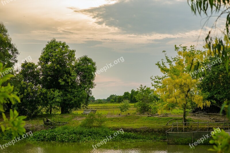 Countryside Tree Road Landscape Forest