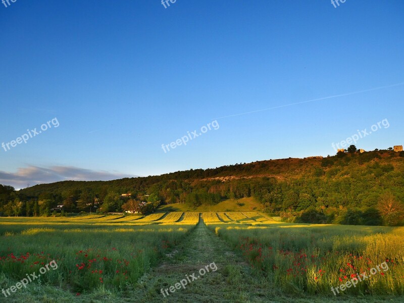 Biodiversity Field Agriculture Landscape Spring