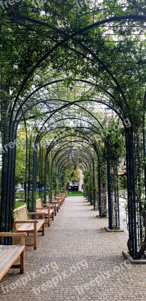 Avenue Trees Benches Park Czech Republic