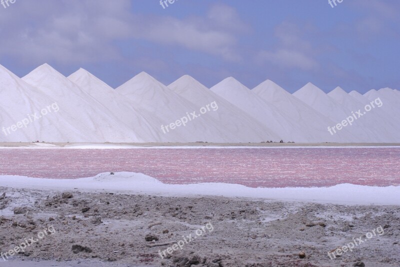 Salt Caribbean Pastel Bonaire Pink