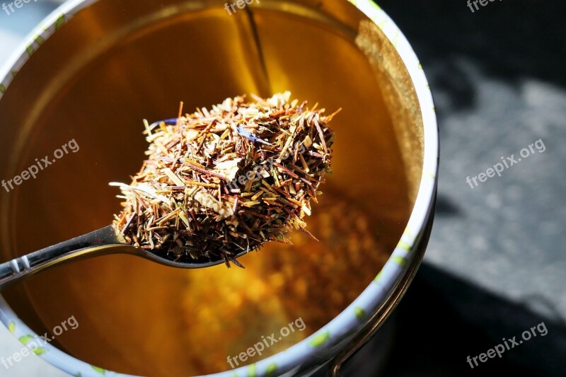 Tee Herbal Tea Drink Herbs Healthy