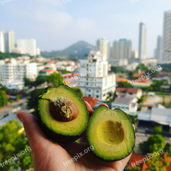 Avocado Avo Arvo Sky City