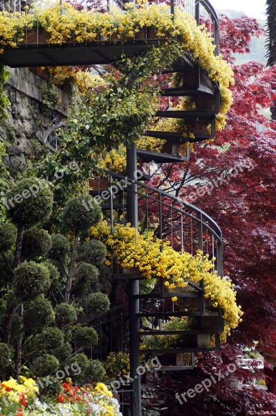 Spiral Staircase Flowers Stairs Flowerpot Nature