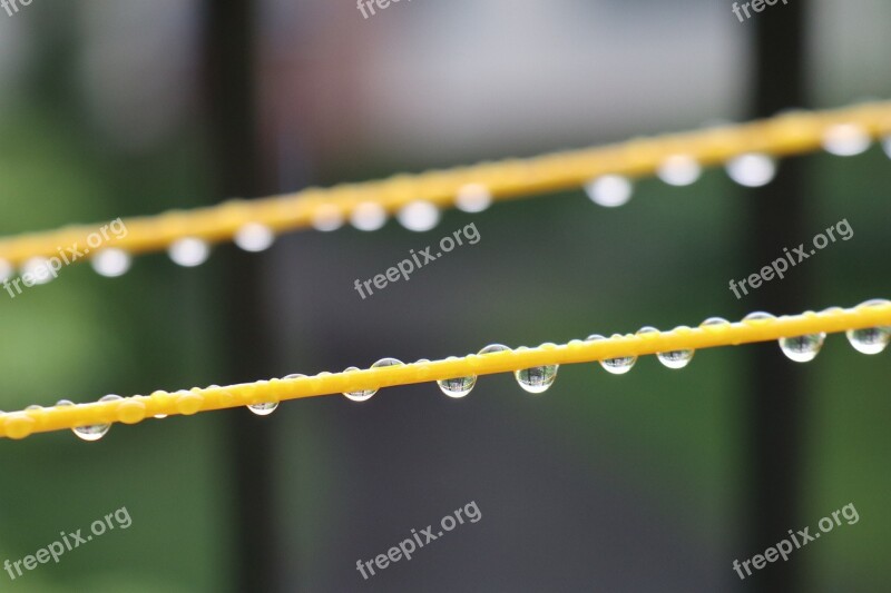 Droplets Water Weather String Wet