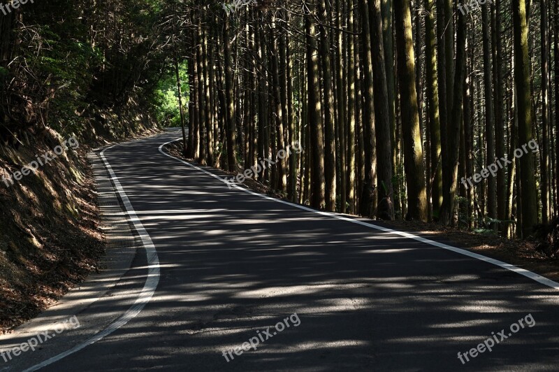 Woods Road Landscape Wood Free Photos