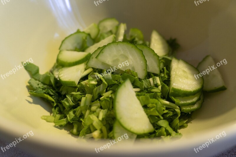 Green Parsley Greens Salad Healthy