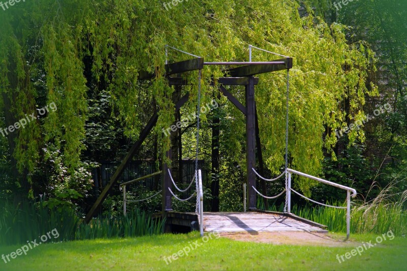 Suspension Bridge Wild Haunting Wedding Bridge Enchanted