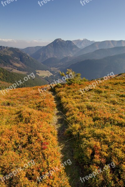 Landscape Mountains Nature Hills Alpine