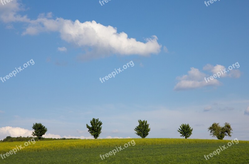 Field Clouds Trees Sky Landscape