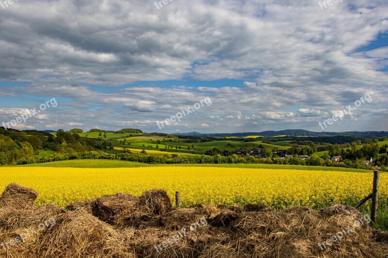 Landscape Nature Rape Blossom Sky Beautiful