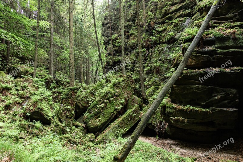 Rock Landscape Gorge Mood Forest