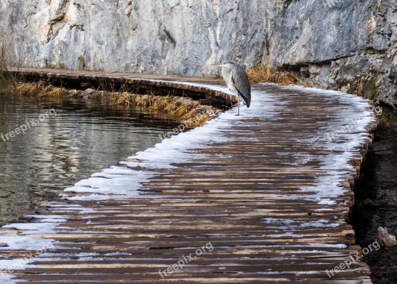 Croatia Park Plitwice Nature Winter