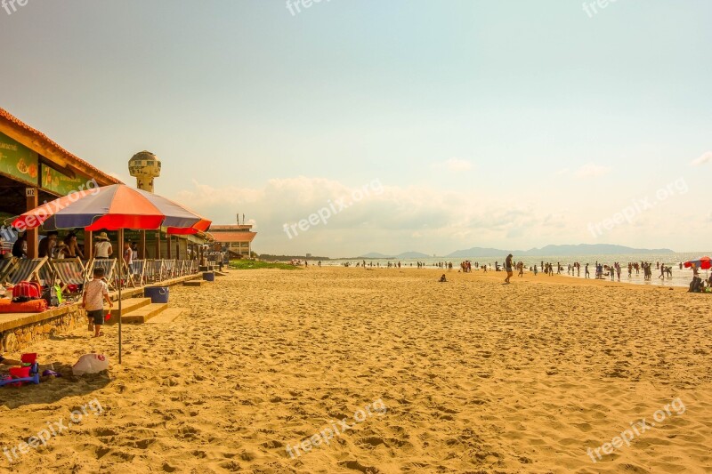 Beach Summer Hot Sand Swim