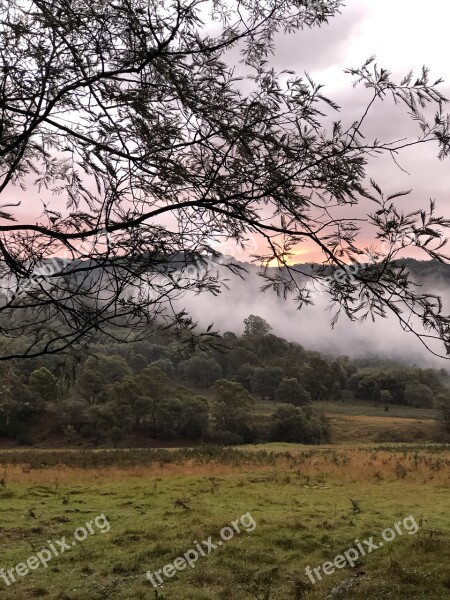 Sunset Bush Landscape Evening Dusk