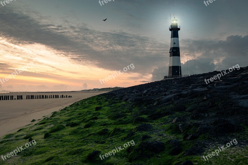 Lighthouse Coast Seaweed Beach Sea