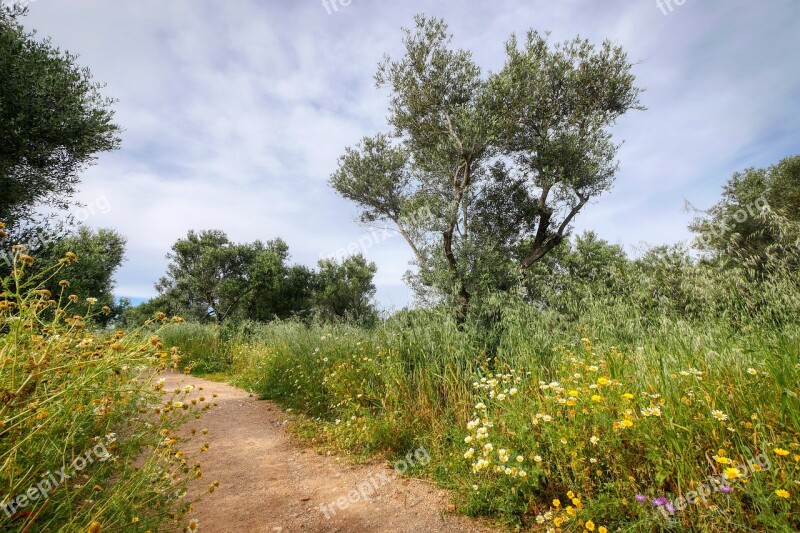 Walk Hiking Crete Greece Flower Meadow