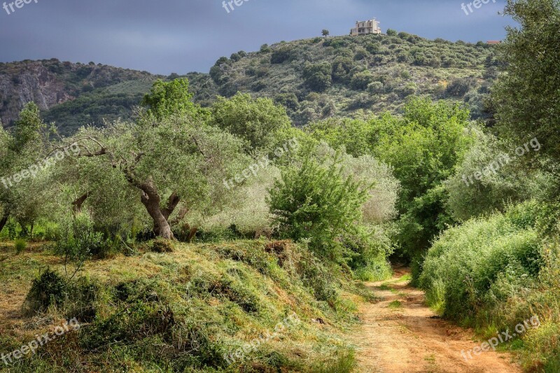 Walk Hiking Crete Greece Flower Meadow