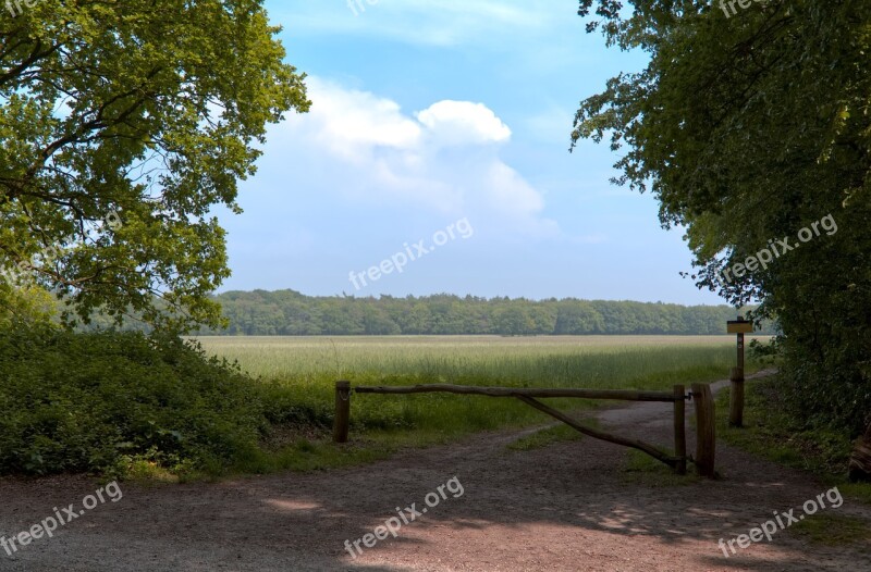 Trees Meadow Landscape Grass Outdoor