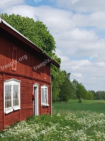 Sweden Barn Summer Idyll Rural Life