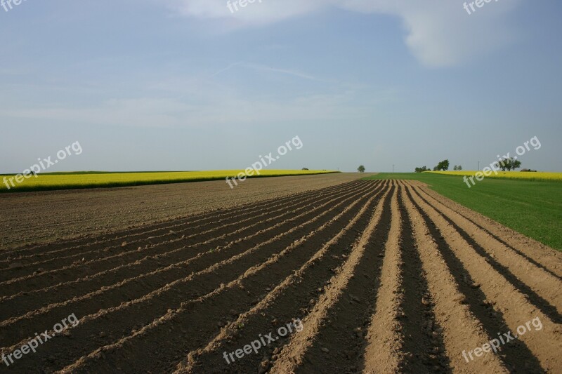 Fields Field Agriculture Landscape Village