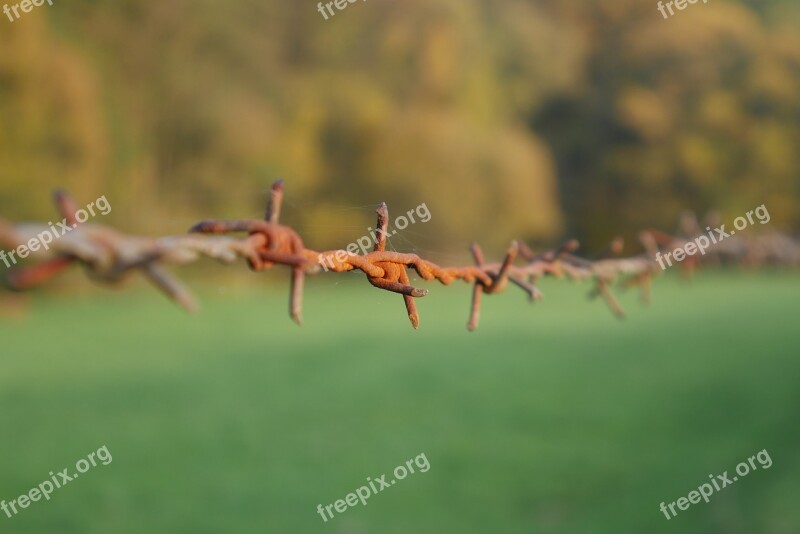 Fence Barbed Wire Wire Border Demarcation