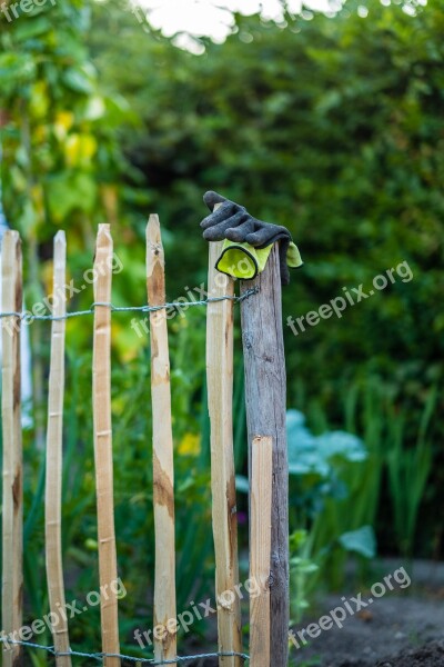 Garden Summer Fence Wood Green