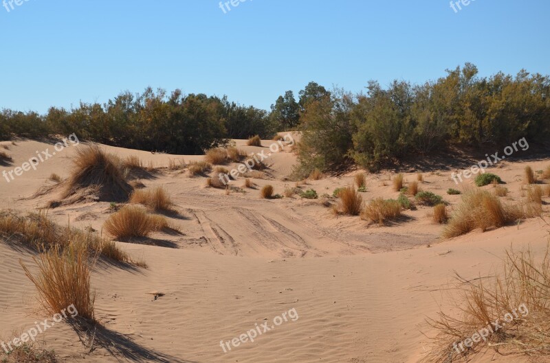 Desert Sand Sahara Landscape Dry