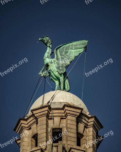 Liverpool Liver Bird Clock Tower Tower Building