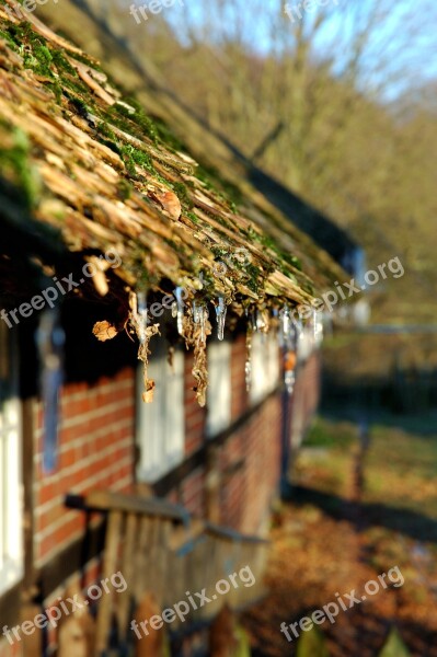 Ice Winter Icicle Thatched Roof Snow