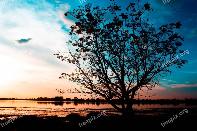 Sunset Tree Trees The Landscape Nature