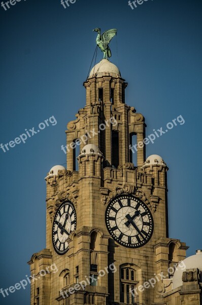 Liverpool Northwest Clock Tower Liver Bird Monument