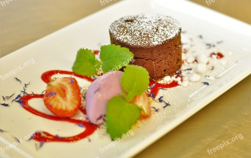 Dessert Chocolate Icecream Fondant Free Photos