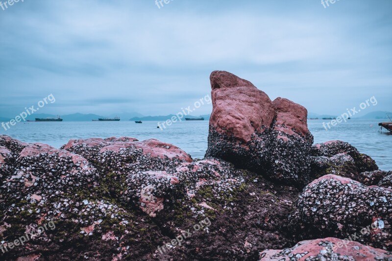 The Scenery Beach Rock Stone Calm