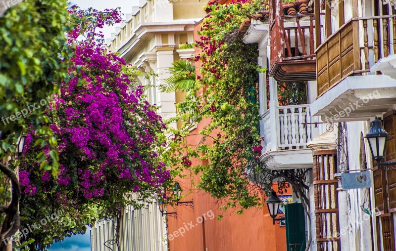 Flowers Balconies Summer Flower Balcony