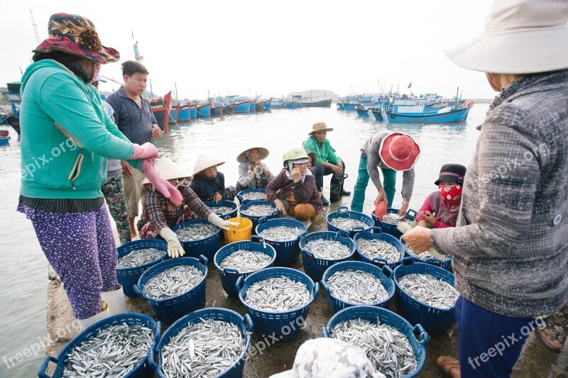 Beach Fish Sea Fishing Coast