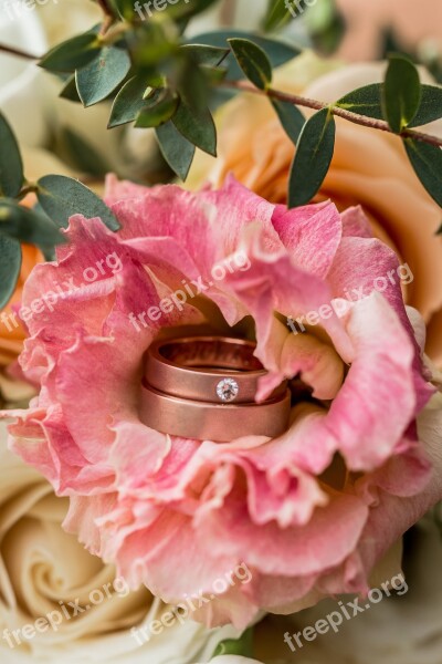 Ring Wedding Jewelry Bride Engagement