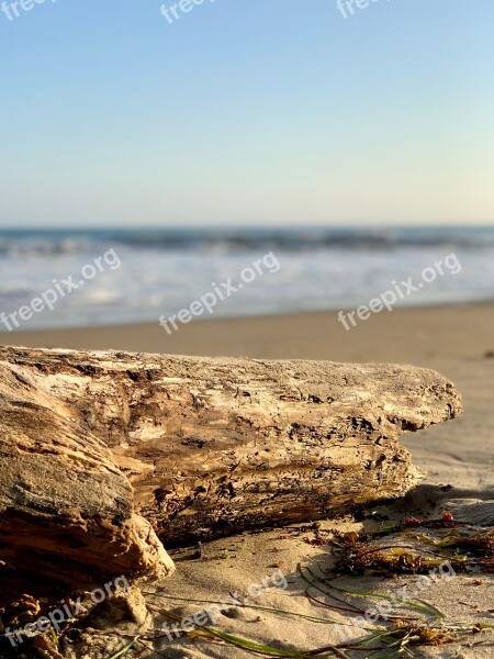 Beach Ocean Water Sand Coast