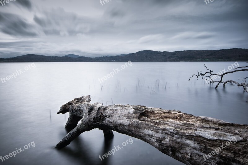 Lake Tree Water Nature Mood