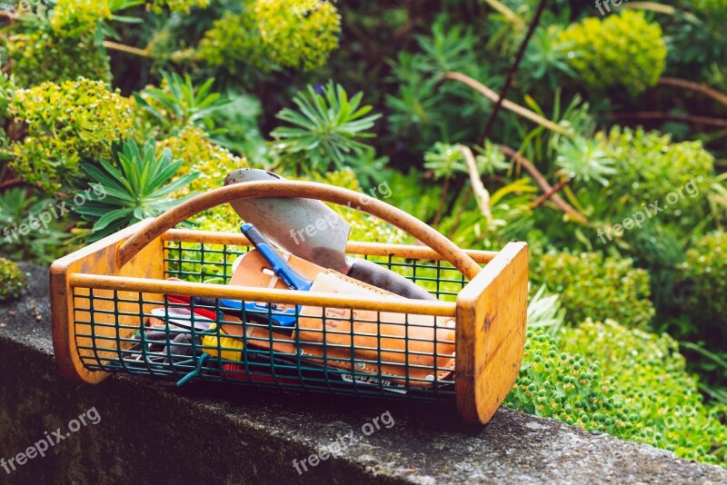 Garden Gardening Garden Tools Plant Still Life