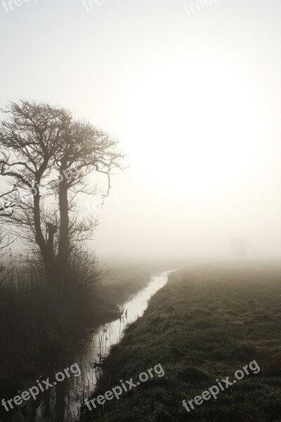 Natural Streams Wood Fog Dis