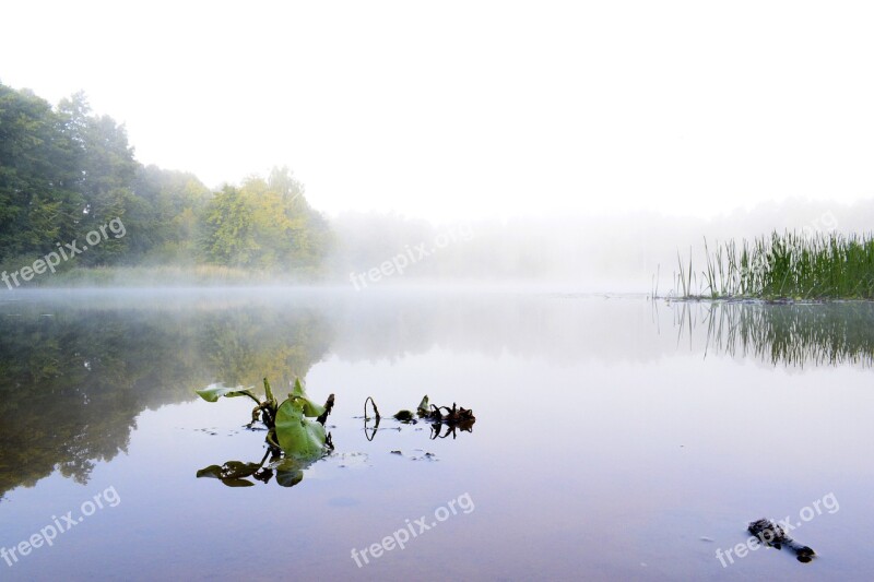 Landscape Lake Water Fog View