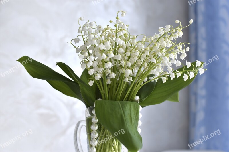 Lilies Of The Valley Flowers Spring Bouquet Free Photos